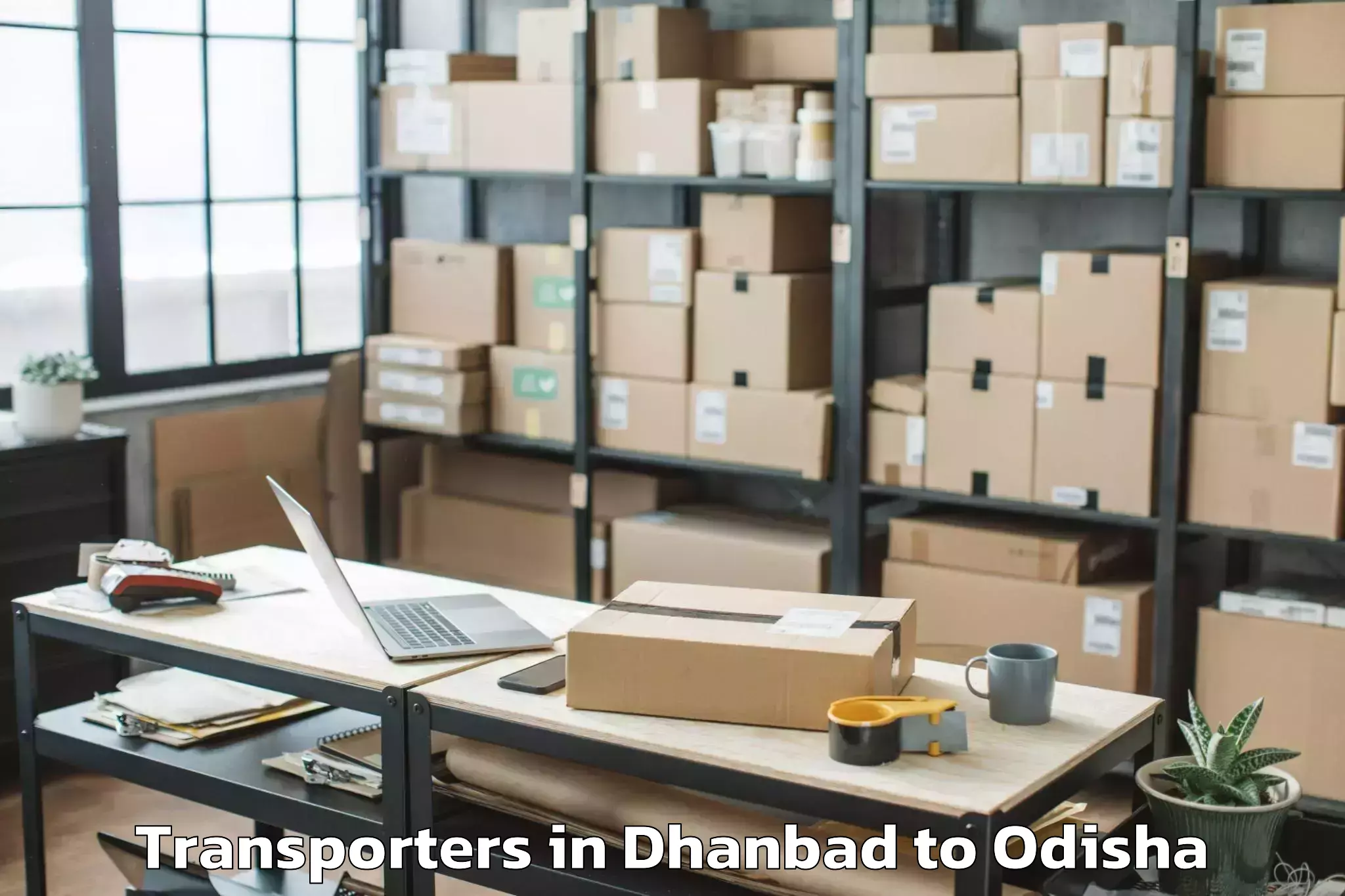 Get Dhanbad to Kalunga Industrial Estate Transporters